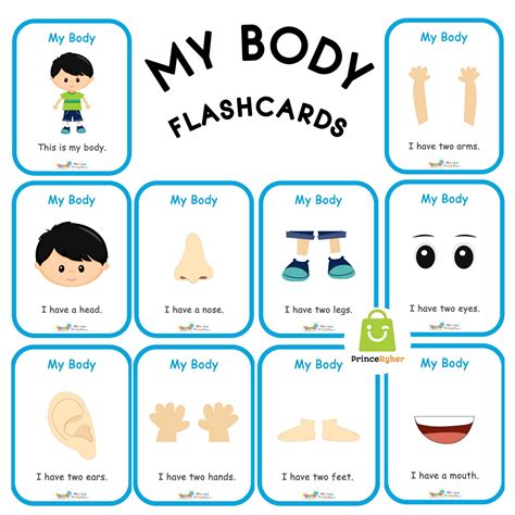 body flashcards|my body flashcards.